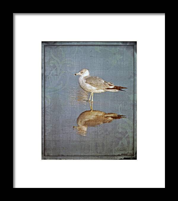Fine Art Framed Print featuring the photograph Bird Reflection by Shara Abel