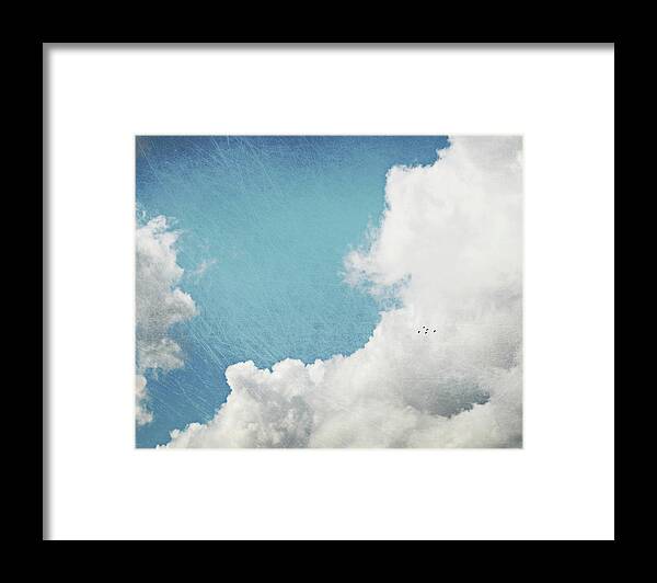 Birds Framed Print featuring the photograph Birds In a Big Sky by Lupen Grainne