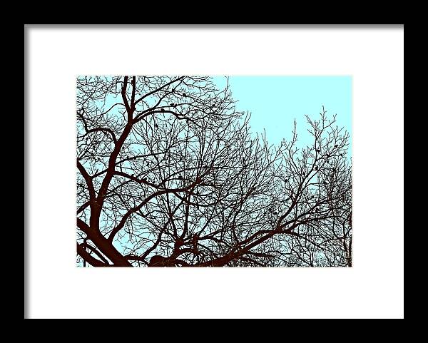 Nature Framed Print featuring the photograph Birds in the Silhouetted Tree by Frank J Casella