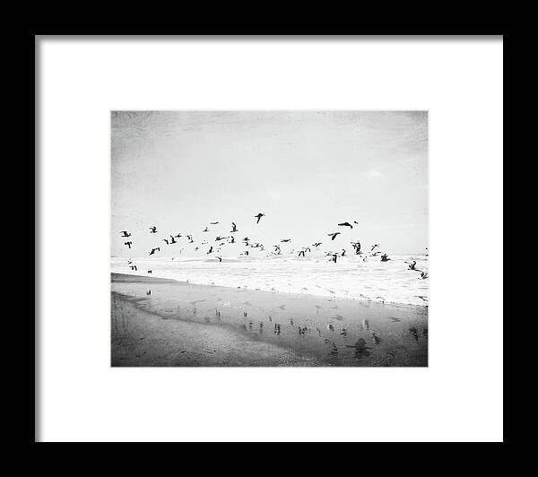 Ocean Framed Print featuring the photograph Birds Reflected by Lupen Grainne