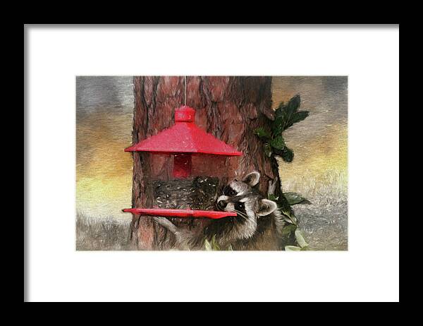 Raccoon Framed Print featuring the photograph Birdseed Stealing Bandit by Ola Allen