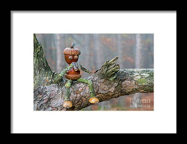Figure Framed Print featuring the photograph Birdwatcher Sitting on Branch by Arterra Picture Library