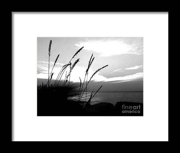 Black And White Framed Print featuring the photograph Black and White Devils Lake North Dakota Shoreline Photograph Wall Prints by Delynn Addams