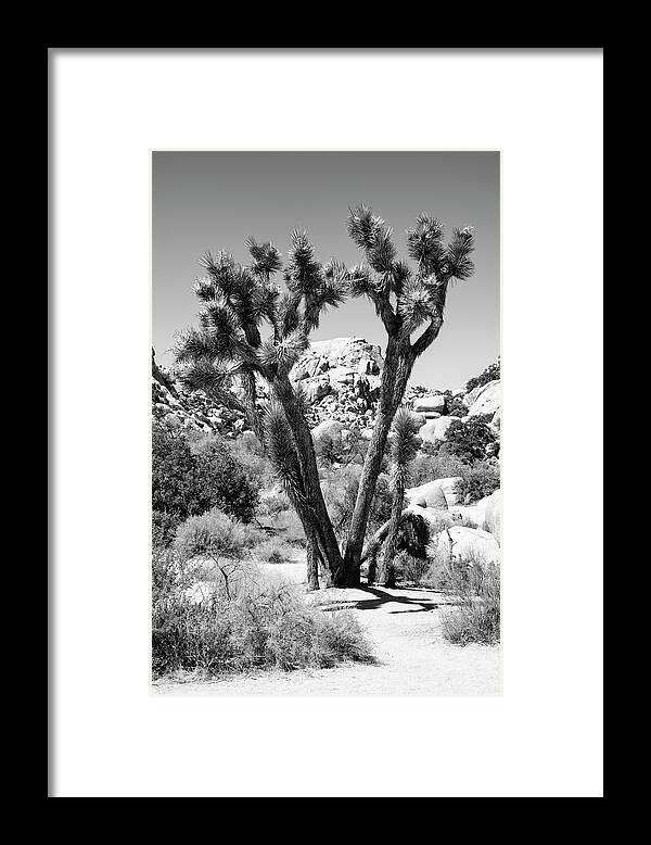 Arizona Framed Print featuring the photograph Black Arizona Series - Joshua Tree by Philippe HUGONNARD