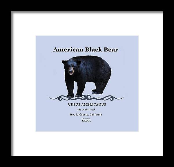 American Black Bear Framed Print featuring the digital art Black Bear by Lisa Redfern