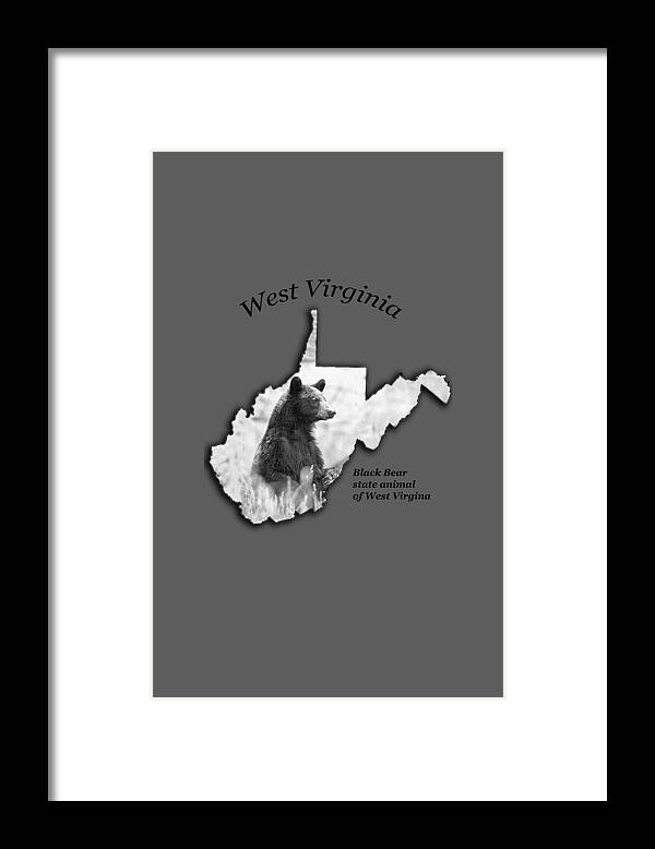Black Bear Framed Print featuring the photograph Black Bear WV state animal by Dan Friend