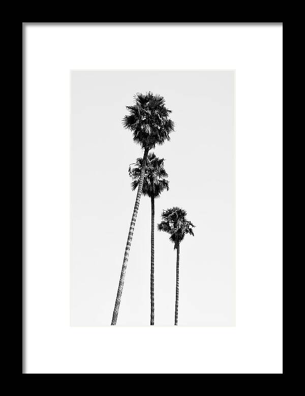 Palm Trees Framed Print featuring the photograph Black California Series - Hollywood Palm Trees by Philippe HUGONNARD