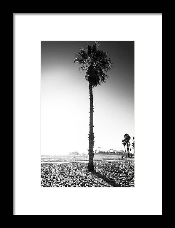 Palm Trees Framed Print featuring the photograph Black California Series - Santa Monica Palm Tree by Philippe HUGONNARD