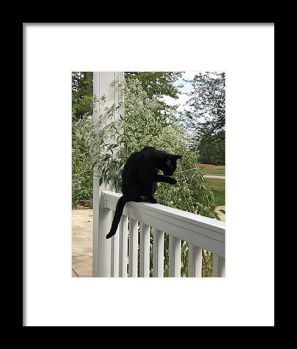 Black Cat Framed Print featuring the photograph Black Cat Bathing by Valerie Collins