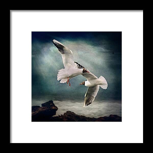 Gulls Framed Print featuring the digital art Black Headed Gulls by Maggy Pease