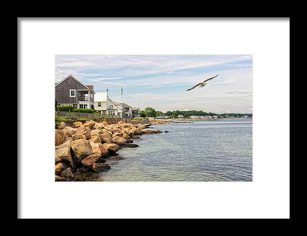 America Framed Print featuring the photograph Black Point Seagull by Marianne Campolongo