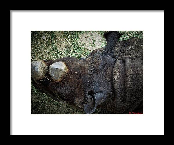 Rhinos Framed Print featuring the photograph Black Rhino by Rene Vasquez