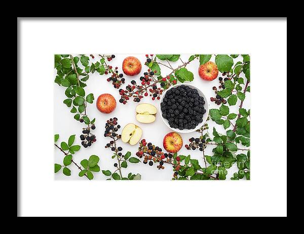 Blackberry Framed Print featuring the photograph Blackberries and Apples Pattern by Tim Gainey