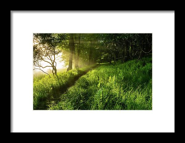 Landscape Framed Print featuring the photograph Blackwater River Trail by Jason Funk