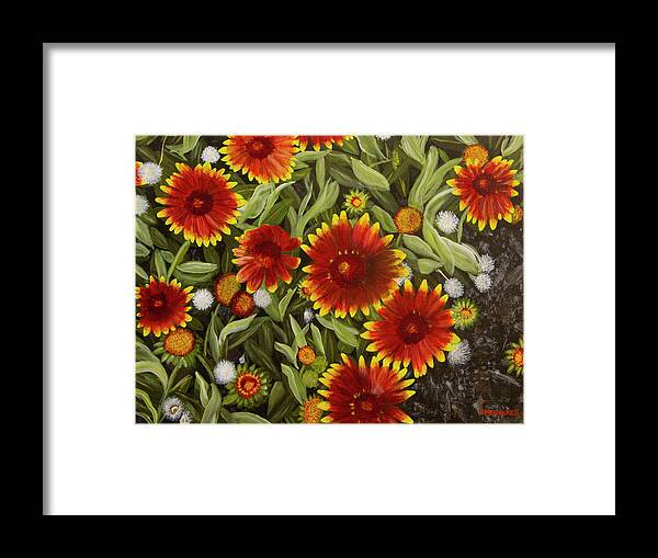 Red Framed Print featuring the painting Blanket Flowers by Donna Manaraze