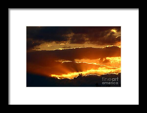 Fototaker Framed Print featuring the photograph Blazing Nature by Tony Lee
