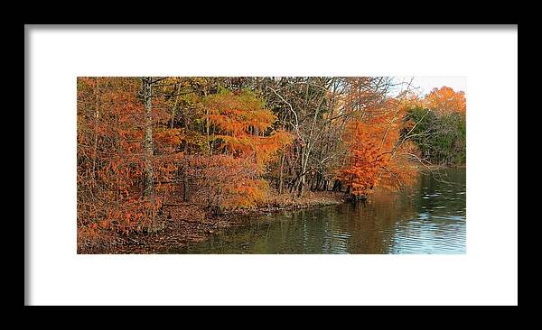 Fall Framed Print featuring the photograph Bledsoe Creek State Park by Ally White