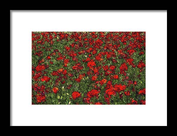 Poppies Framed Print featuring the painting Blooming Poppies Field by Alex Mir