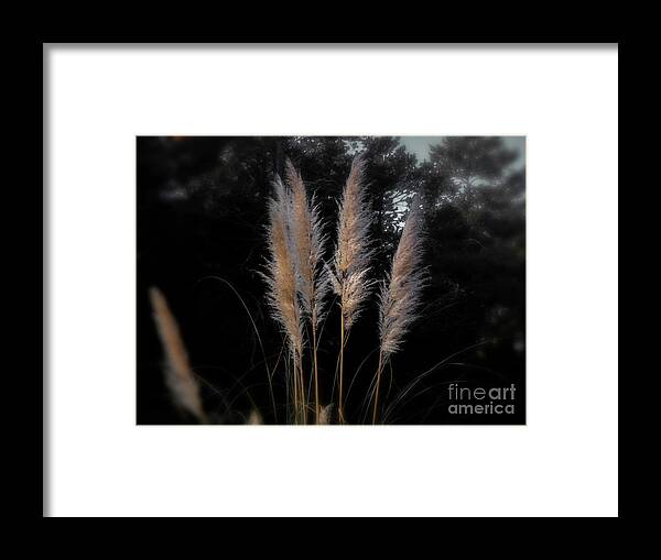 Grass Framed Print featuring the photograph Blowing in the Wind by Judy Hall-Folde