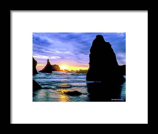West Coast Framed Print featuring the photograph Blue and Gold by Randy Bradley
