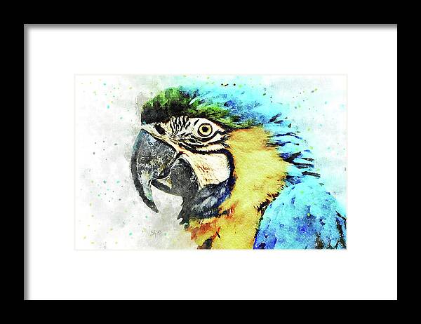 Bird Framed Print featuring the mixed media Blue and Yellow Macaw Watercolor Parrot-Bird Painting by Shelli Fitzpatrick
