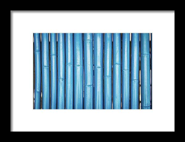 Bamboo Framed Print featuring the photograph Blue bamboo by Josu Ozkaritz
