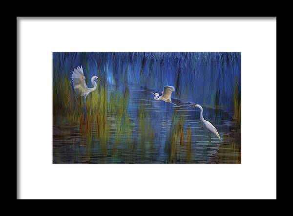 Egrets Framed Print featuring the photograph Blue Bayou II by Melinda Hughes-Berland