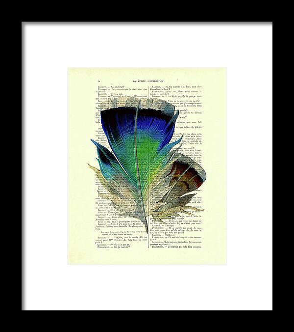 Feather Framed Print featuring the digital art Blue bird feather on a french book page by Madame Memento