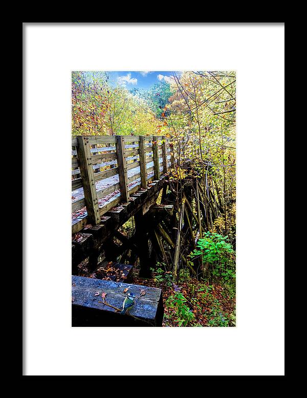 Bird Framed Print featuring the photograph Blue Bird on the Trestle Creeper Trail Damascus Virginia by Debra and Dave Vanderlaan