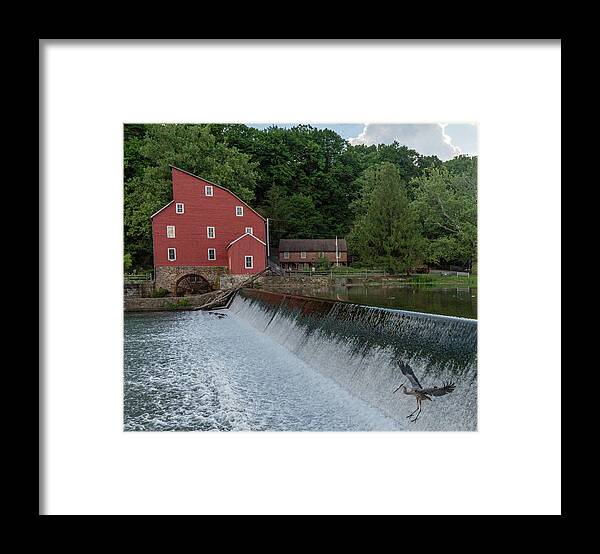 Clinton Red Mill Framed Print featuring the photograph Blue Heron at Clinton Red Mill by GeeLeesa