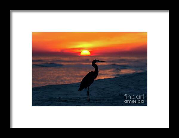 Great Framed Print featuring the photograph Blue Heron Beach Sunset by Beachtown Views