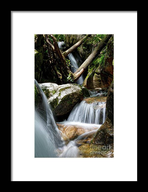 Nature Framed Print featuring the photograph Blue Hole Falls 11 by Phil Perkins