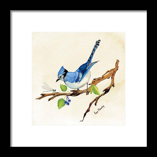Blue Jay Framed Print featuring the painting Blue Jay by Anne Beverley-Stamps