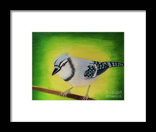 Art Framed Print featuring the painting Blue Jay by Dorothy Lee