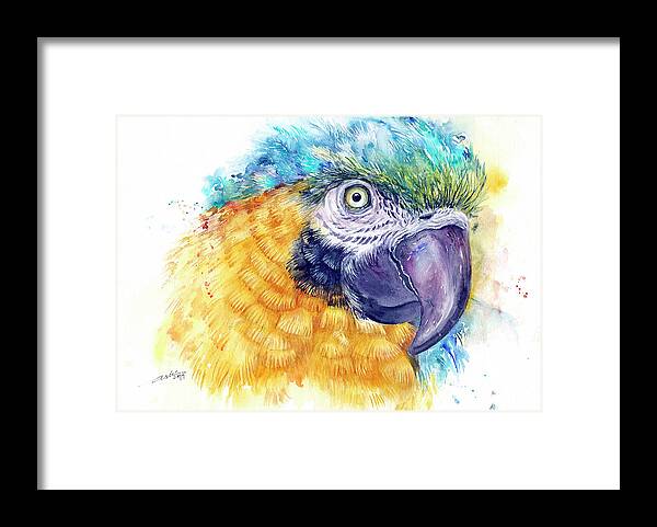 Blue Macaw Framed Print featuring the painting Blue Macaw by Arti Chauhan