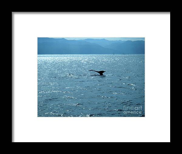 Canada Framed Print featuring the photograph Blue on Blue by Mary Mikawoz