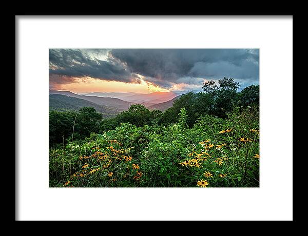 Evening Framed Print featuring the photograph Blue Ridge Parkway Asheville NC Wildflower Sunset Scenic by Robert Stephens