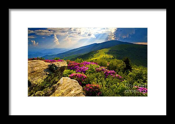 Blue Ridge Parkway Framed Print featuring the mixed media Blue Ridge Parkway Catawba Rhododendrons by Sandi OReilly