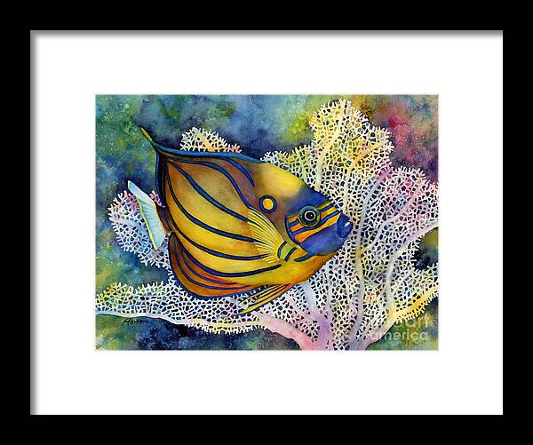 Fish Framed Print featuring the painting Blue Ring Angelfish by Hailey E Herrera