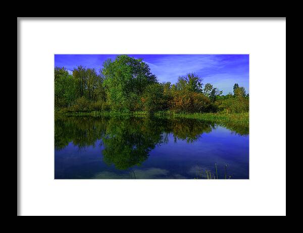 Reflection Framed Print featuring the photograph Blue sky and trees reflected in still water by Jeff Swan