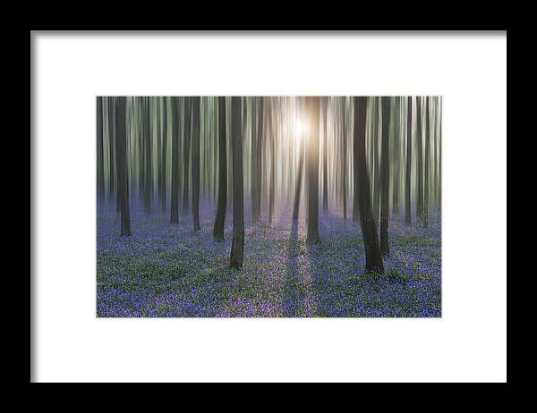 Tranquility Framed Print featuring the photograph Bluebell Woods by Graham Custance Photography