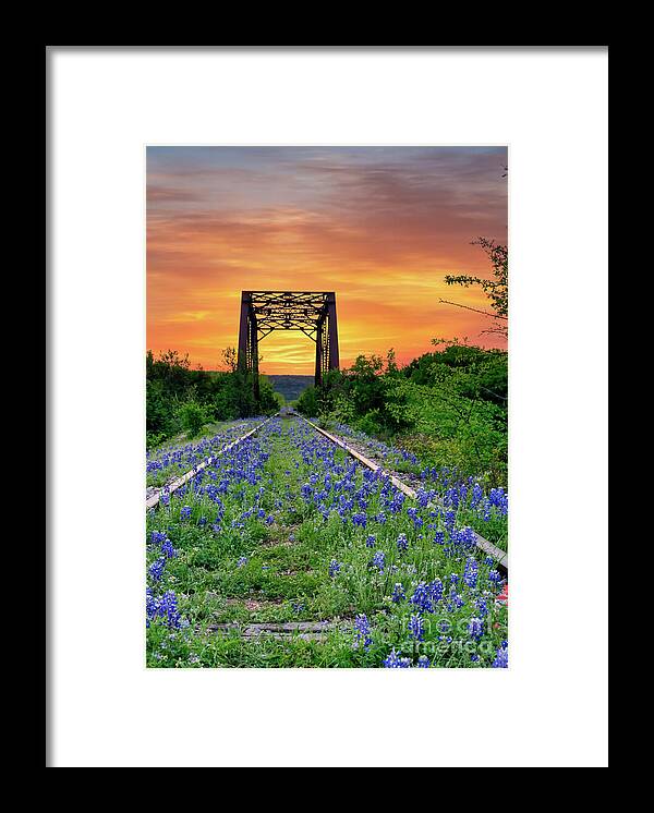 Texas Framed Print featuring the photograph Bluebonnet at Railroad Tracks Sunrise Vertical by Bee Creek Photography - Tod and Cynthia