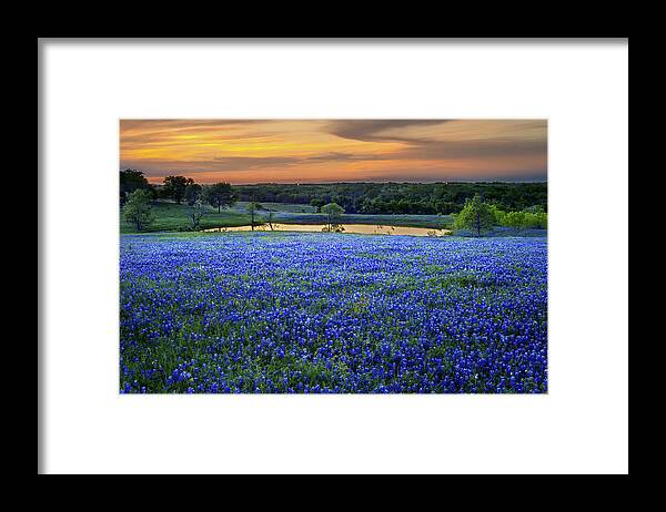 Texas Bluebonnets Framed Print featuring the photograph Bluebonnet Lake Vista Texas Sunset - Wildflowers landscape flowers pond by Jon Holiday