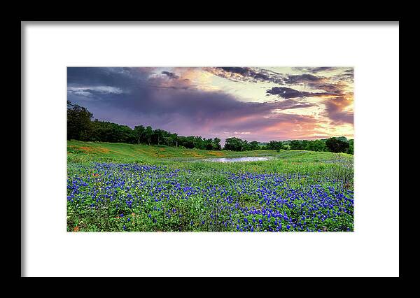 Picturesque Landscape Framed Print featuring the photograph Bluebonnets at Sunset by G Lamar Yancy
