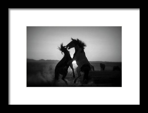 Horse Framed Print featuring the photograph BnW Face Mask Fight by Dirk Johnson