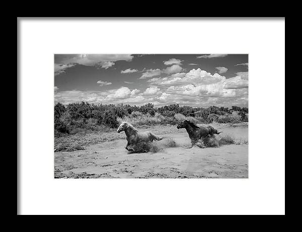 Black And White Framed Print featuring the photograph BnW Water Chase by Dirk Johnson