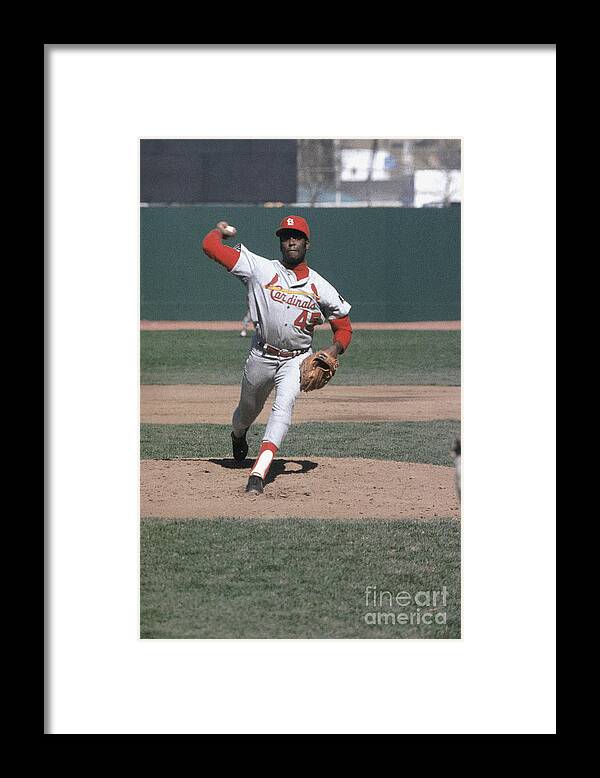 St. Louis Cardinals Framed Print featuring the photograph Bob Hall by Louis Requena
