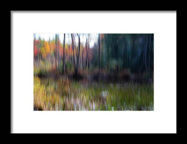 Icm Framed Print featuring the photograph Bog Area In the Fall by Betty Pauwels