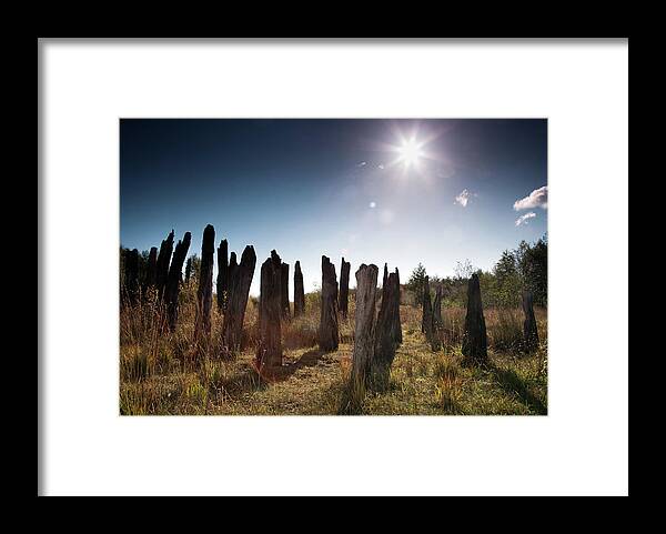  Framed Print featuring the photograph Bog Track by Johan Sietzema by Sublime Ireland