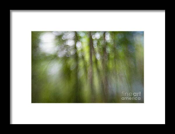 Abstract Framed Print featuring the photograph Bohek Forest by Priska Wettstein